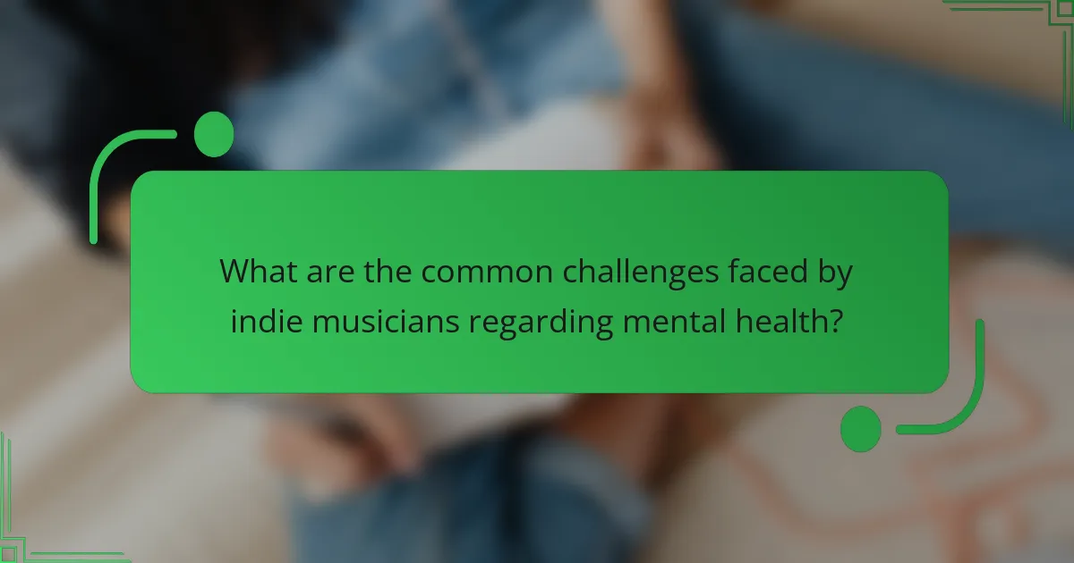 What are the common challenges faced by indie musicians regarding mental health?
