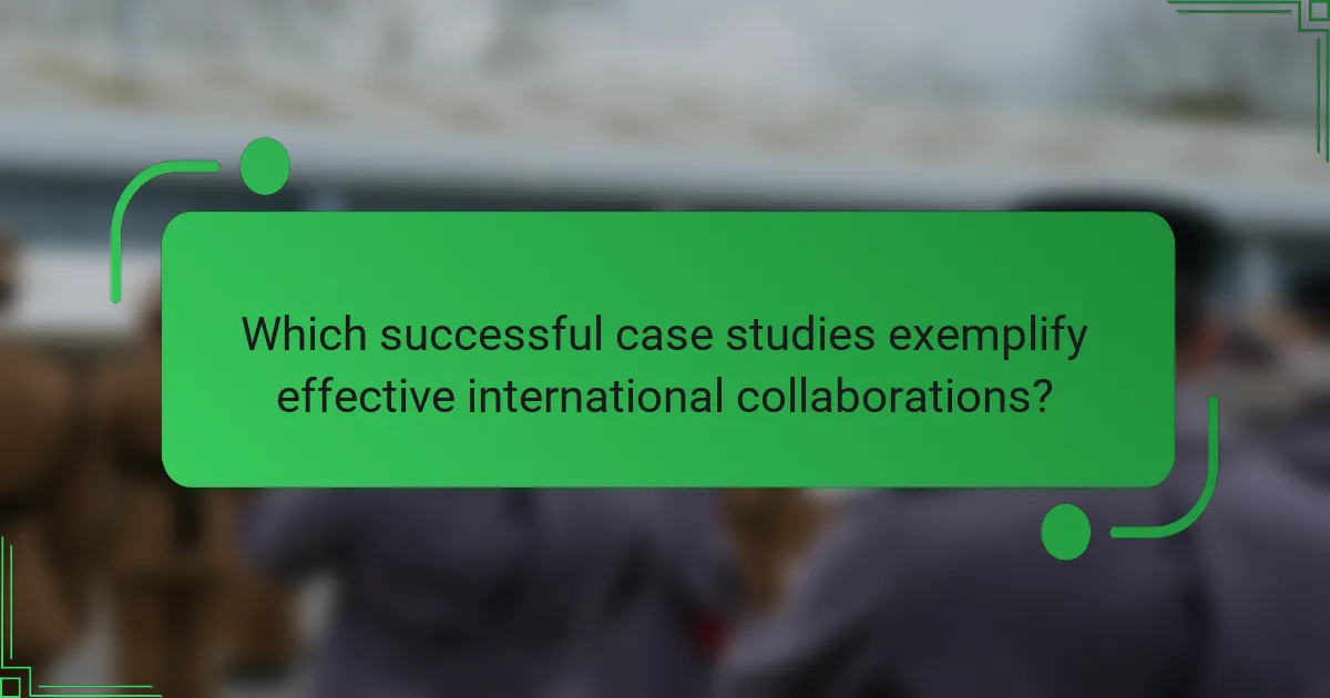 Which successful case studies exemplify effective international collaborations?